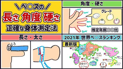 勃起長さ平均|ペニスの平均は！？長さ･太さ･硬さの測定方法